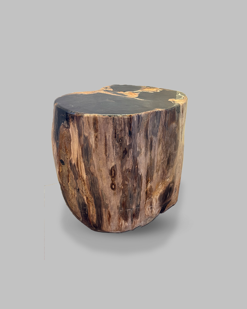 Petrified Stump 55