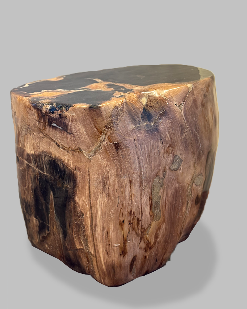 Petrified Stump 55