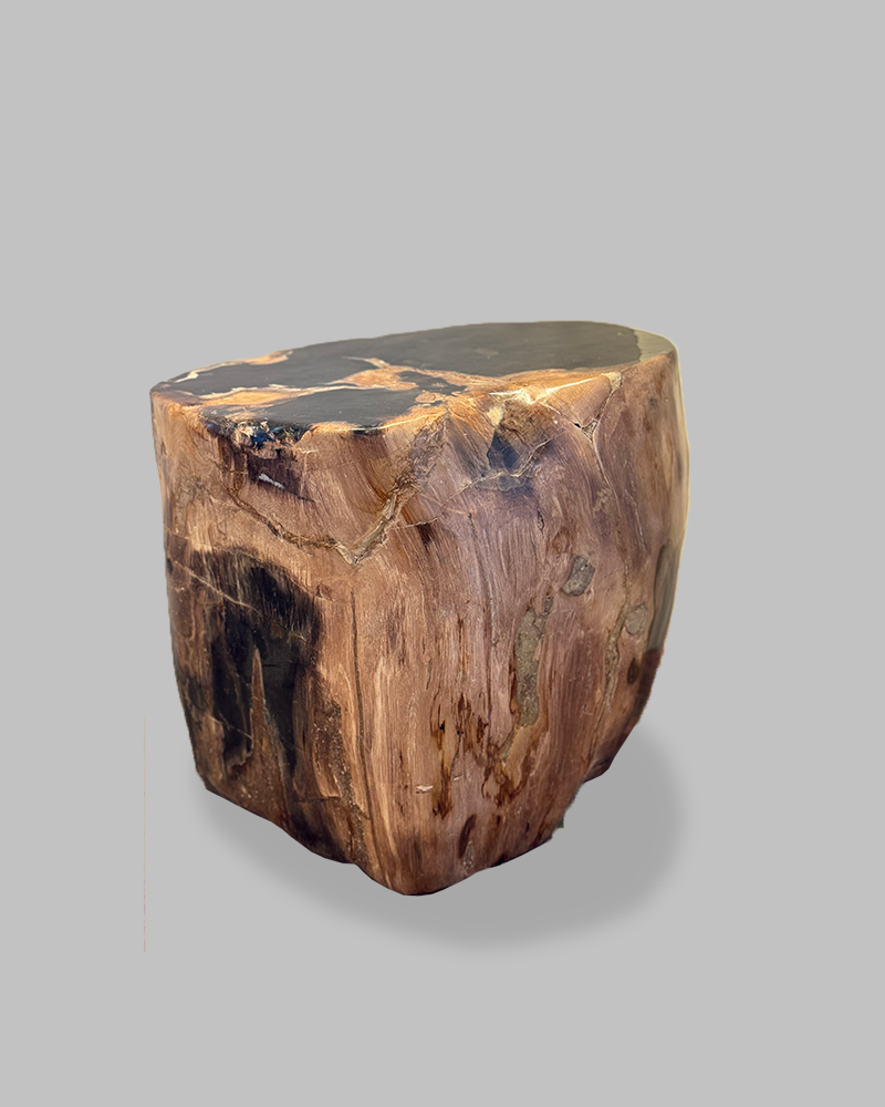 Petrified Stump 55