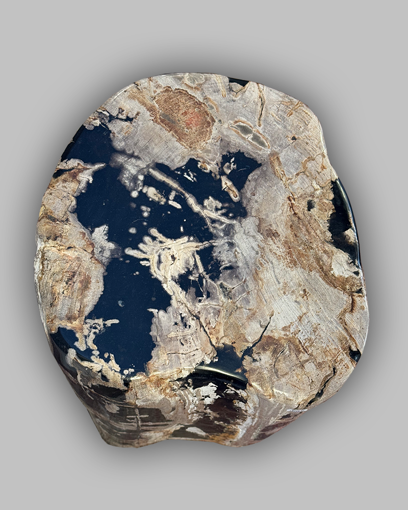 Petrified Stump 56