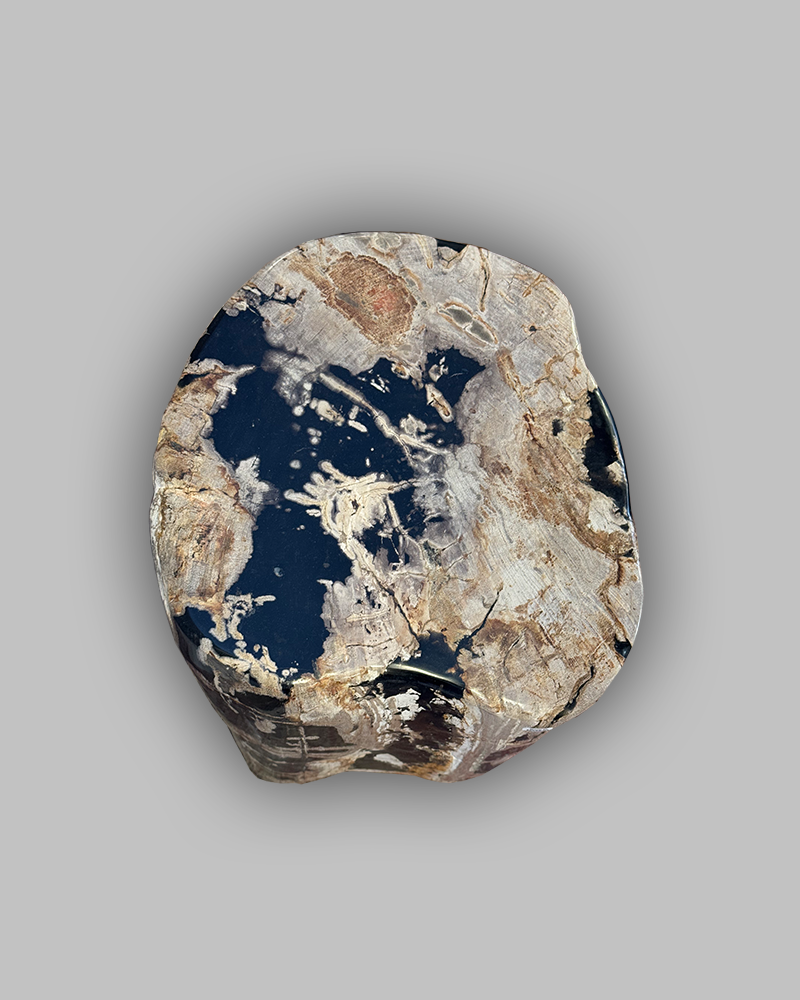 Petrified Stump 56