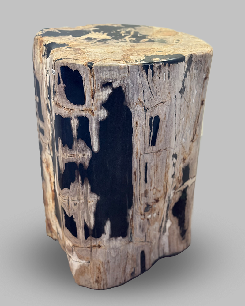 Petrified Stump 56