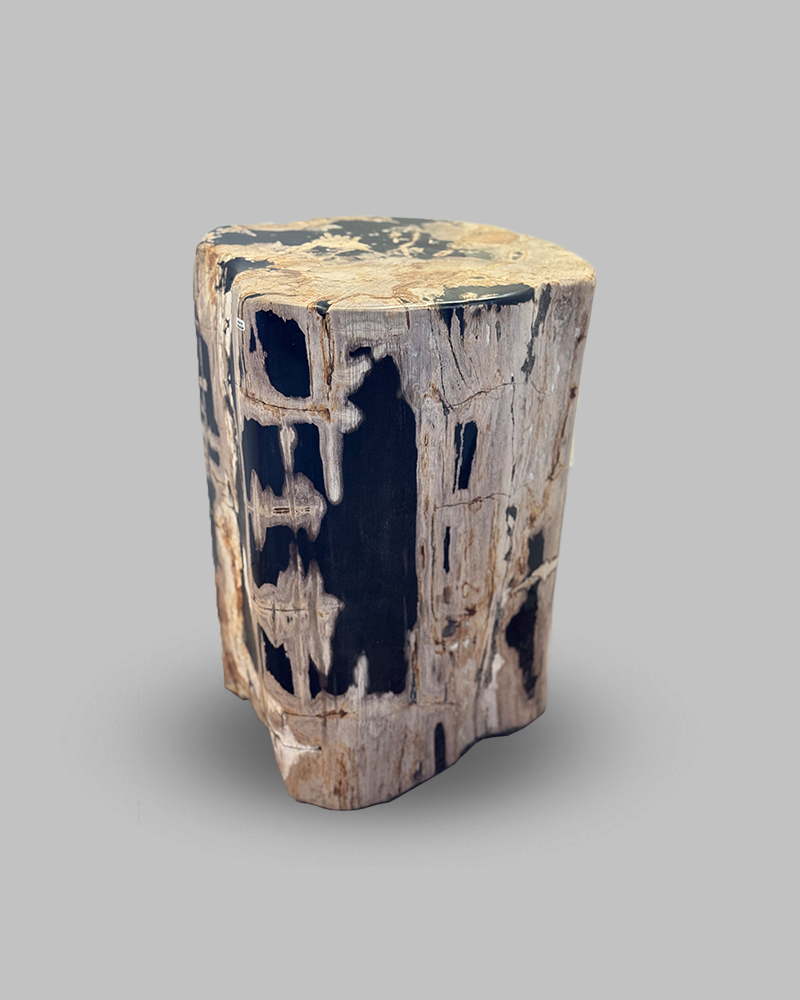 Petrified Stump 56