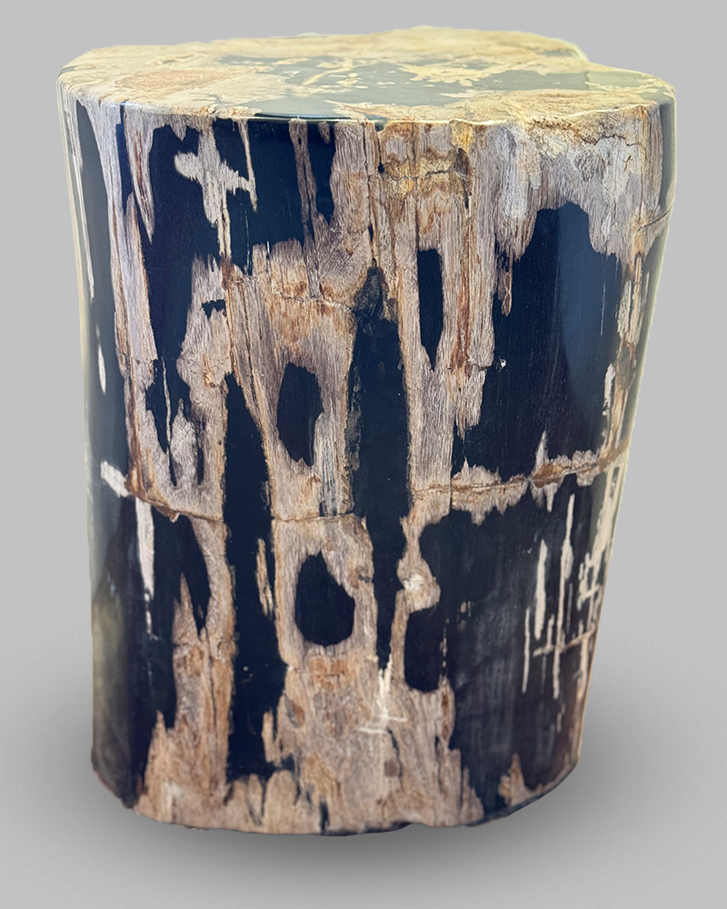 Petrified Stump 56