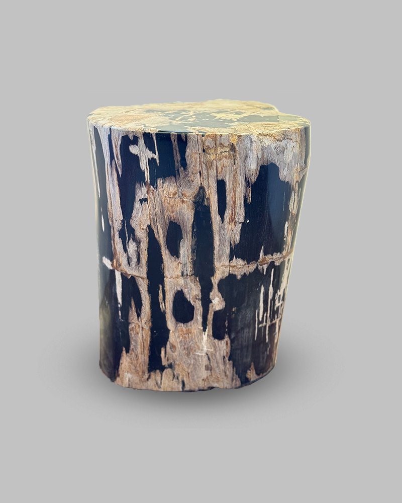 Petrified Stump 56