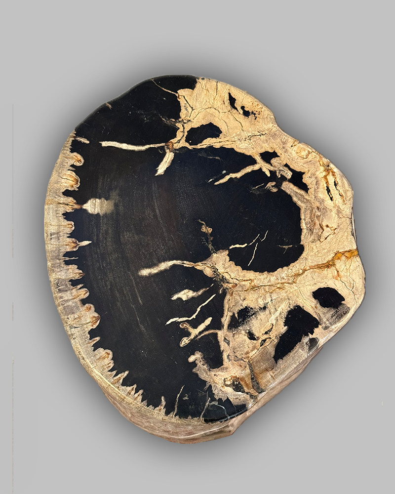 Petrified Stump 57