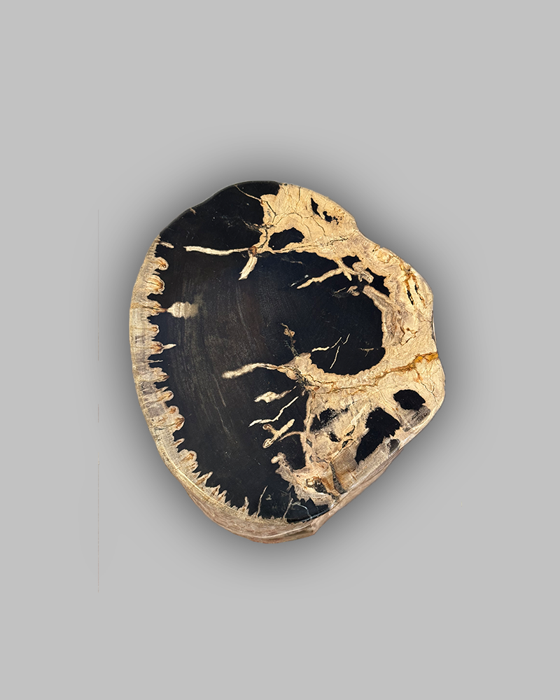 Petrified Stump 57