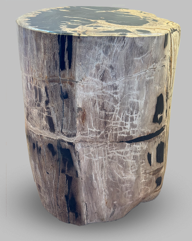Petrified Stump 57