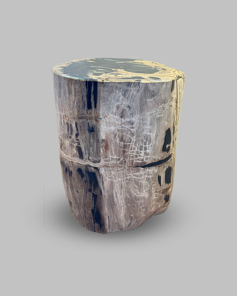 Petrified Stump 57