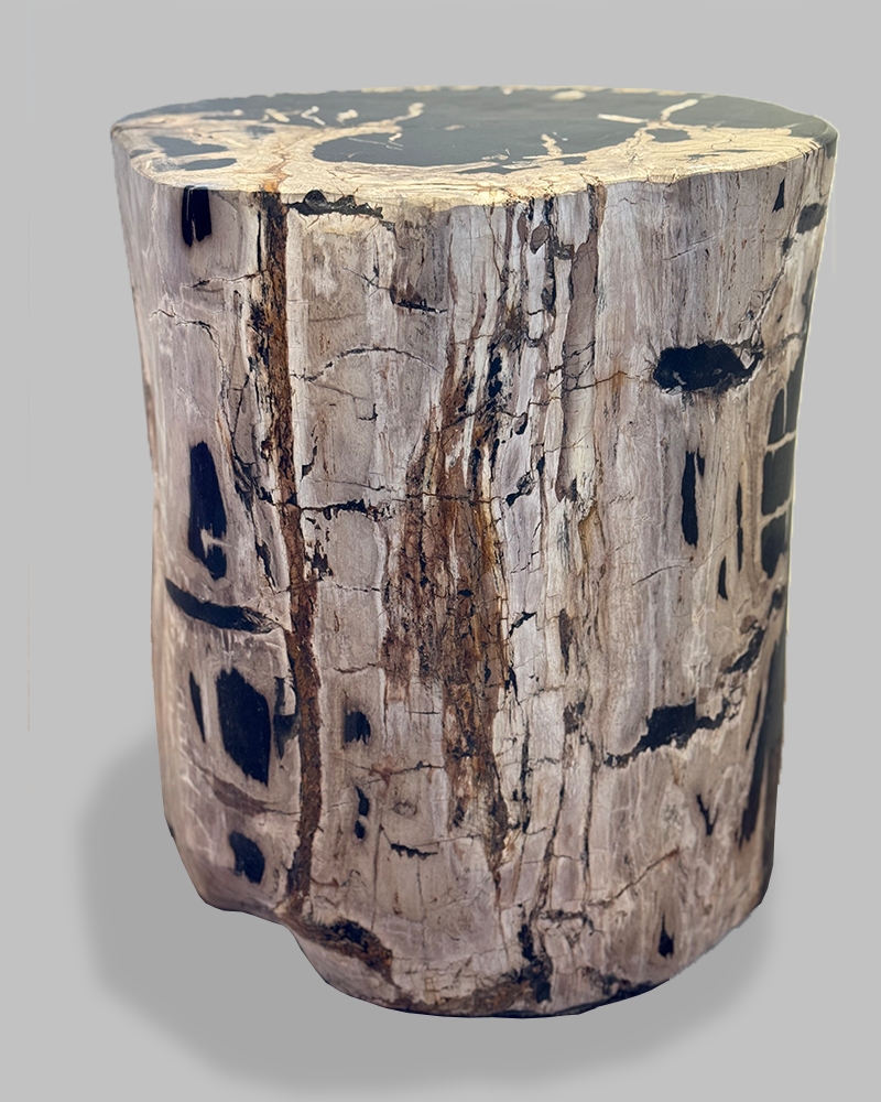 Petrified Stump 57
