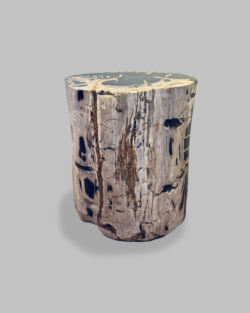 Petrified Stump 57
