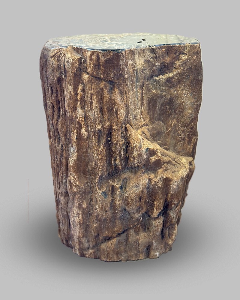 Petrified Stump 58