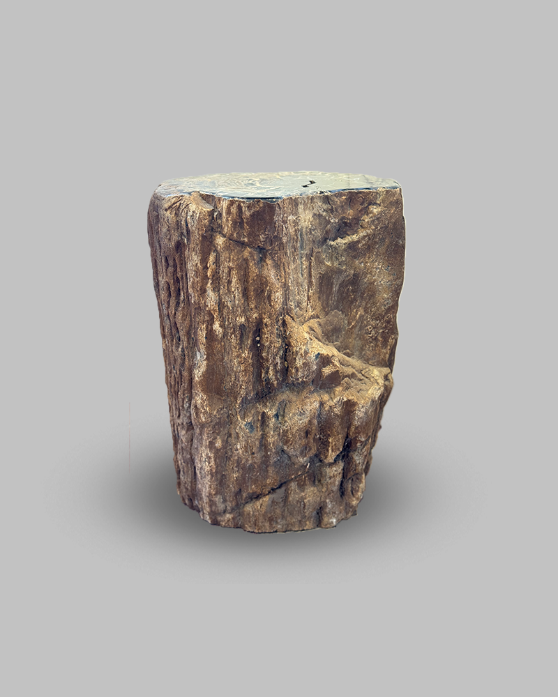 Petrified Stump 58