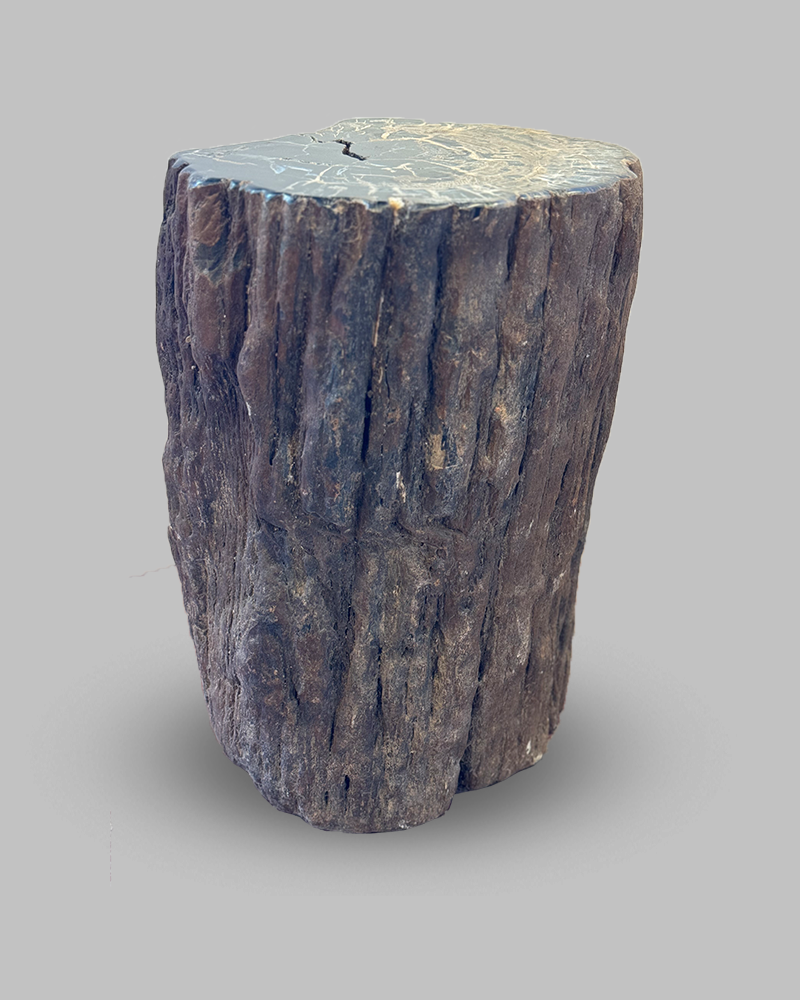 Petrified Stump 58
