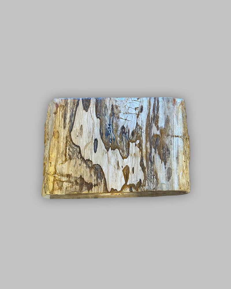 Petrified Stump 59