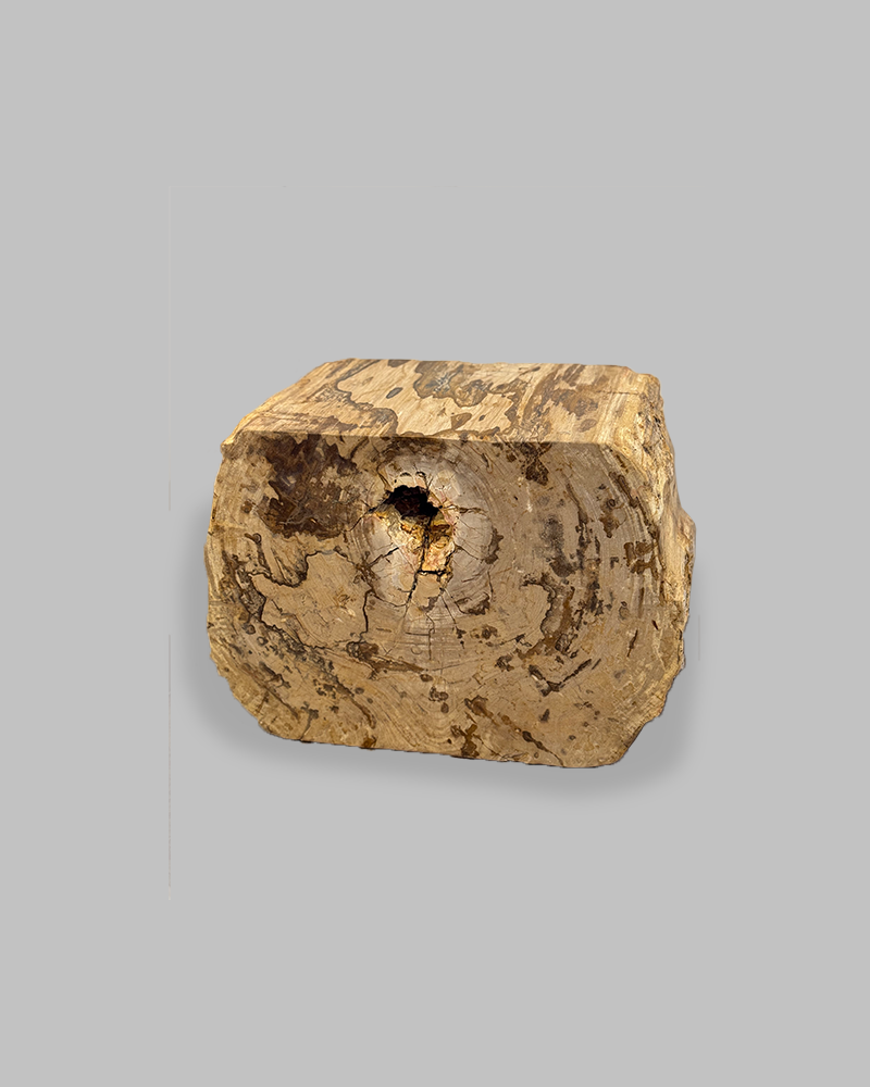 Petrified Stump 59