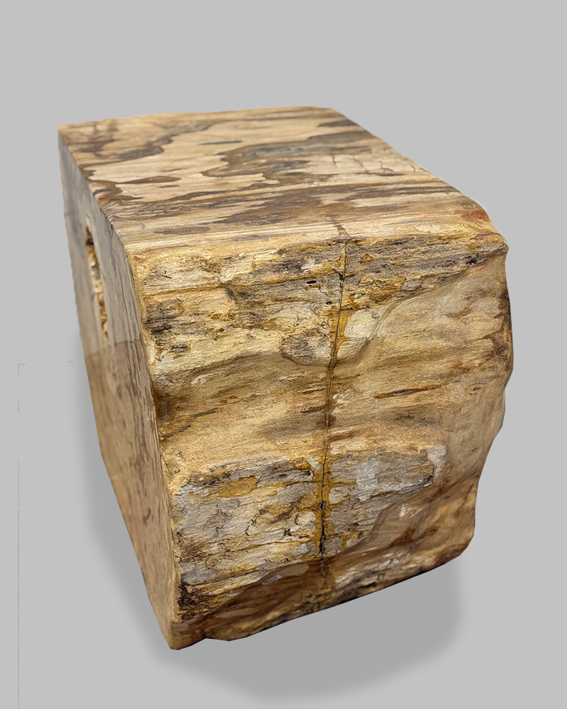 Petrified Stump 59
