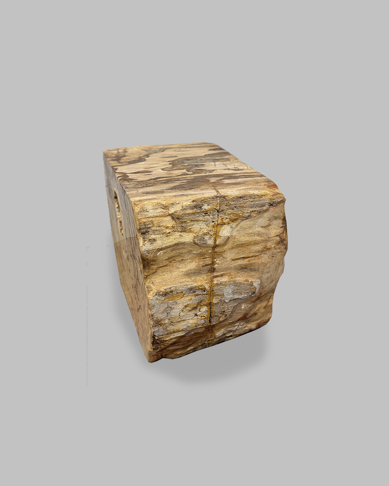 Petrified Stump 59