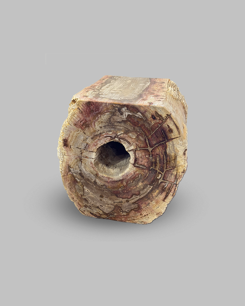 Petrified Stump 60