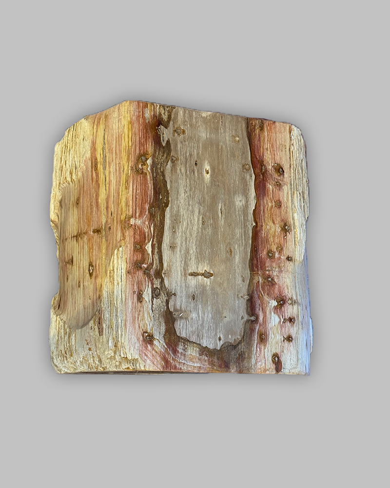 Petrified Stump 60