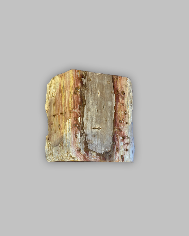 Petrified Stump 60