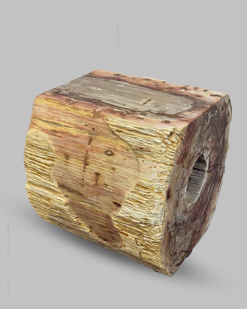 Petrified Stump 60