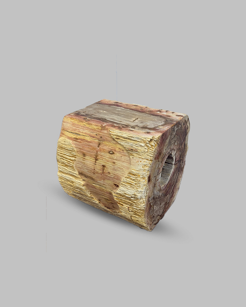 Petrified Stump 60