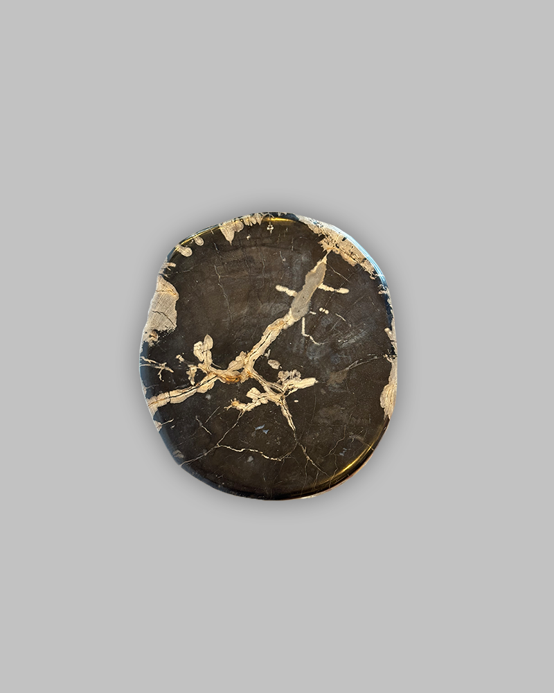 Petrified Stump 61