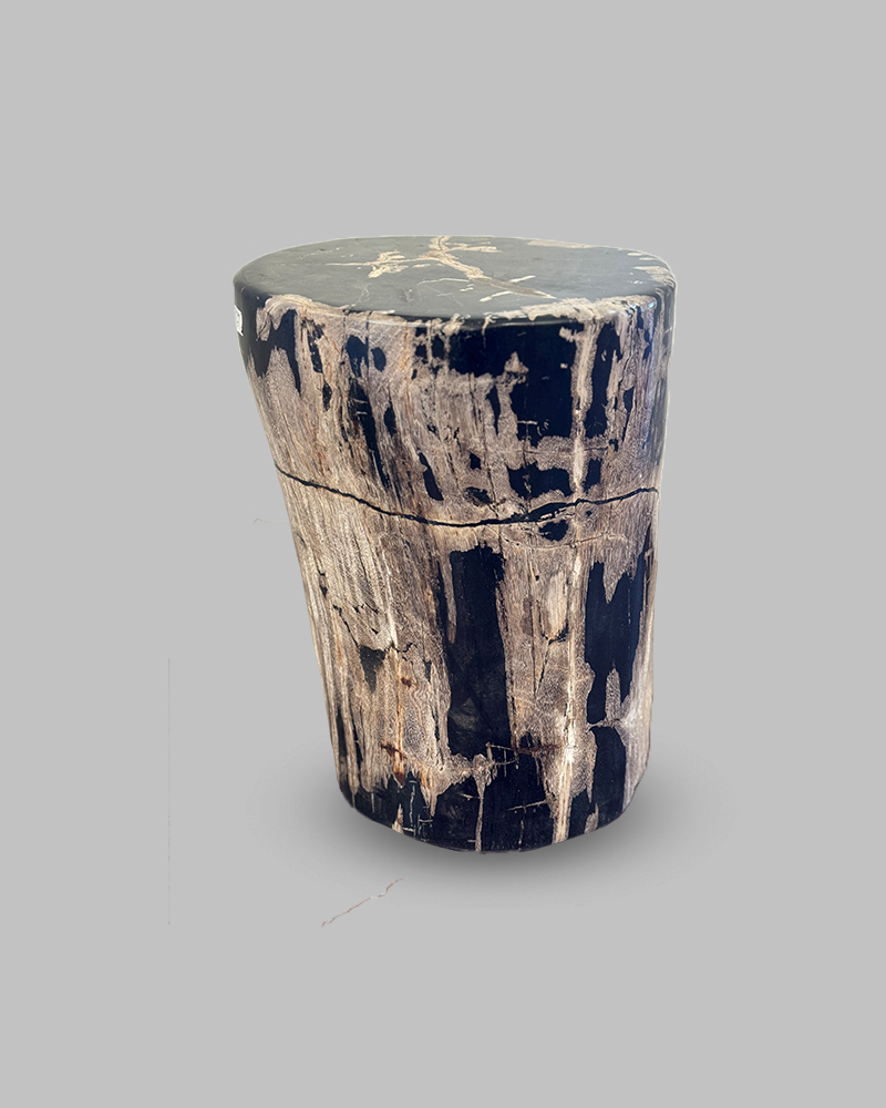 Petrified Stump 61