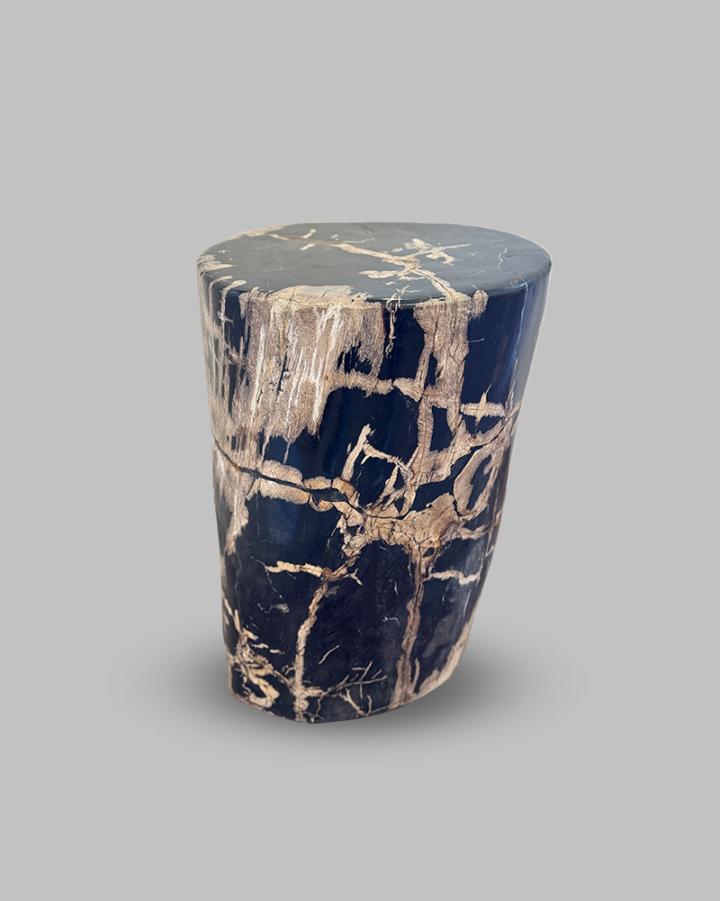 Petrified Stump 61
