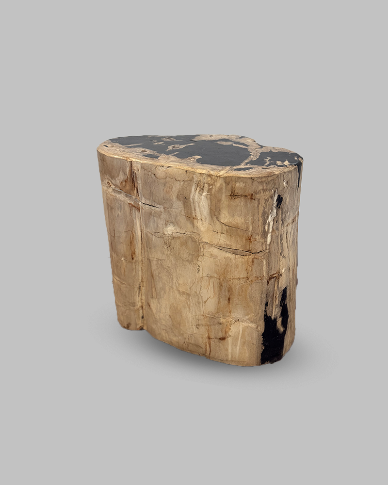 Petrified Stump 62