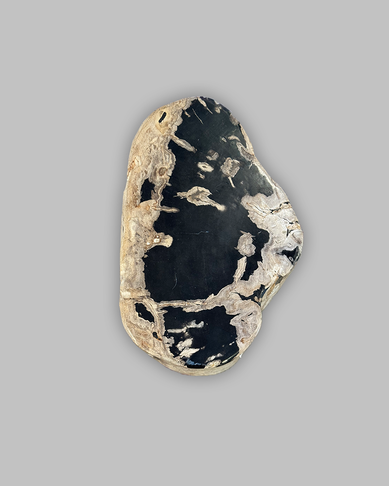 Petrified Stump 62