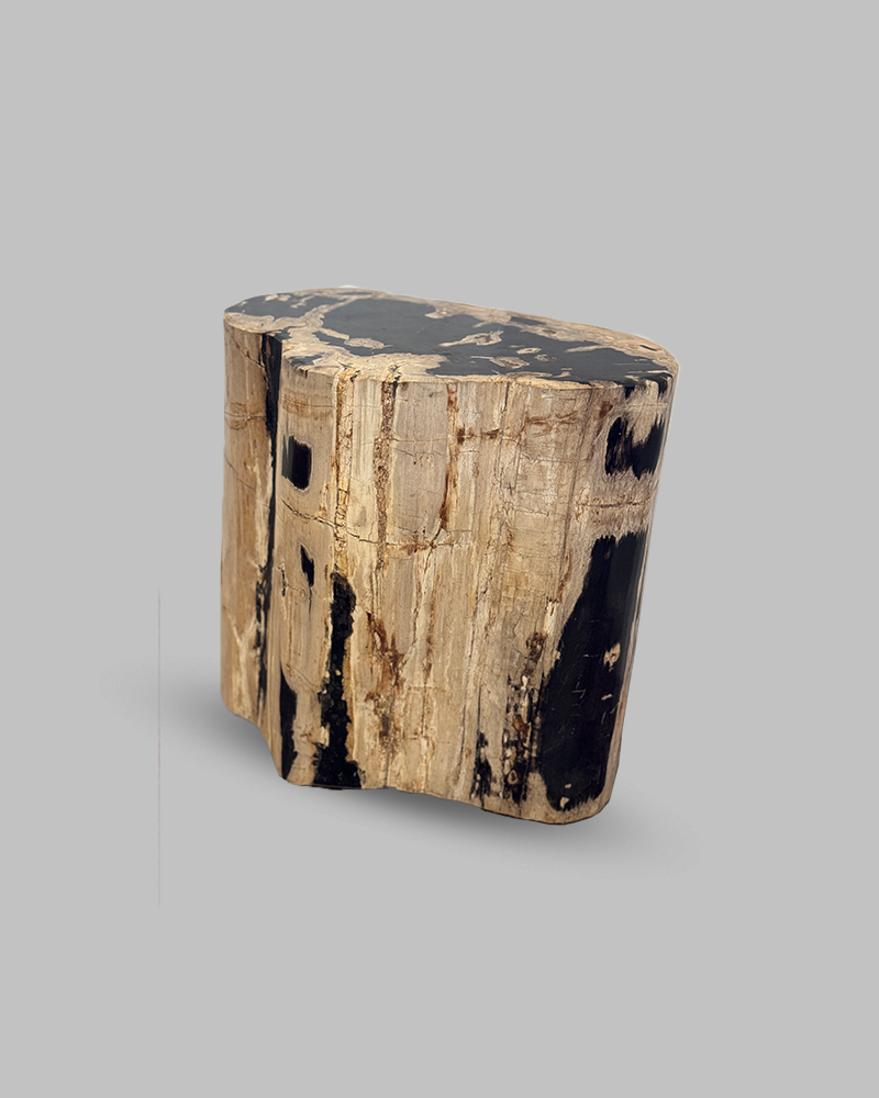 Petrified Stump 62