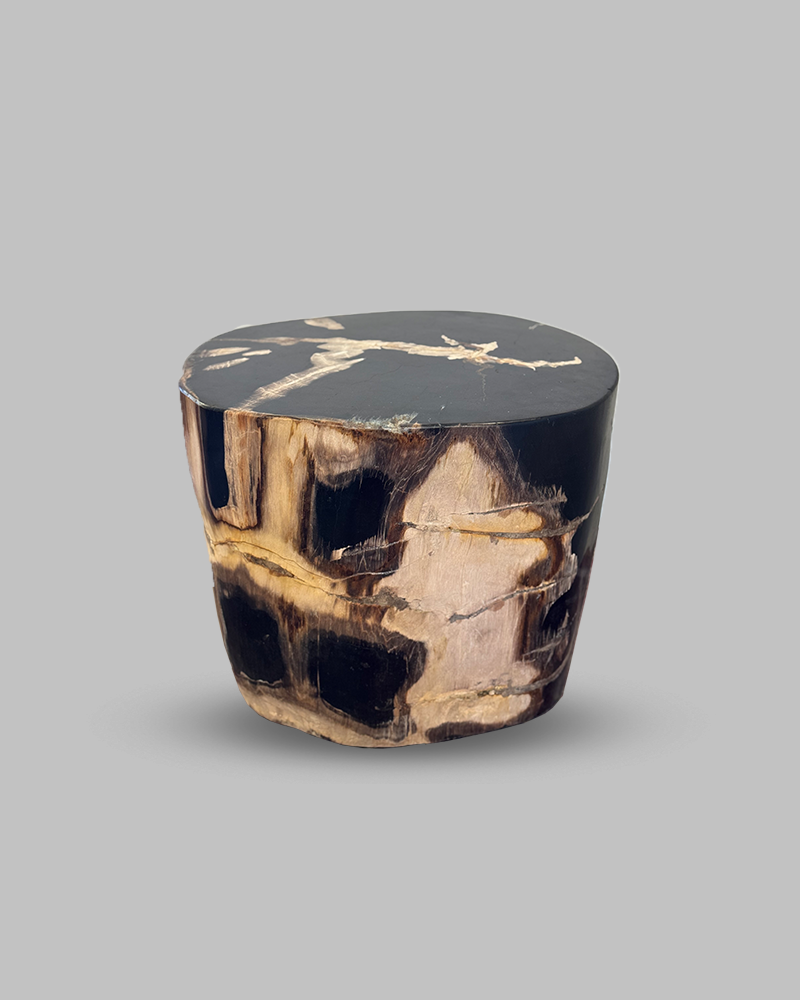 Petrified Stump 63
