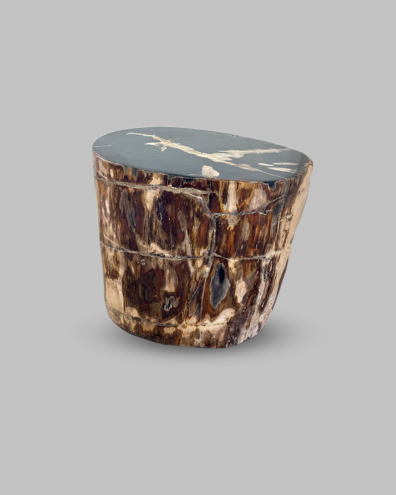 Petrified Stump 63