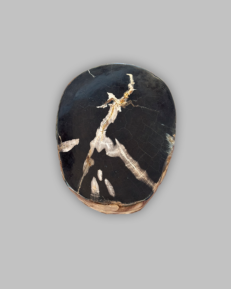Petrified Stump 63
