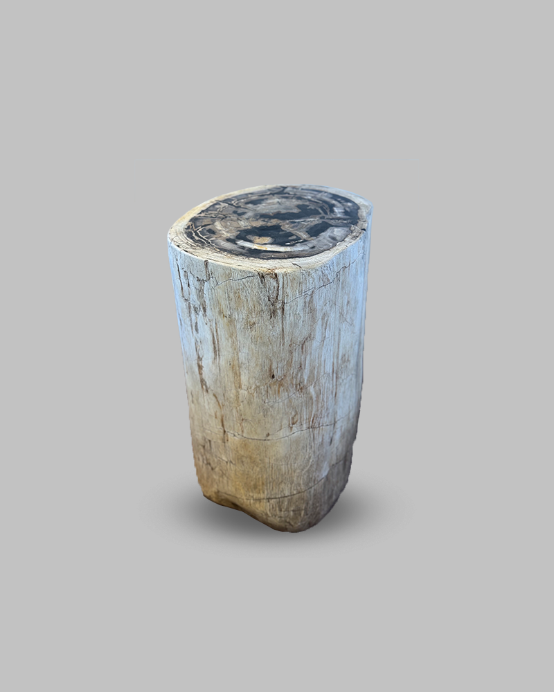 Petrified Stump 64