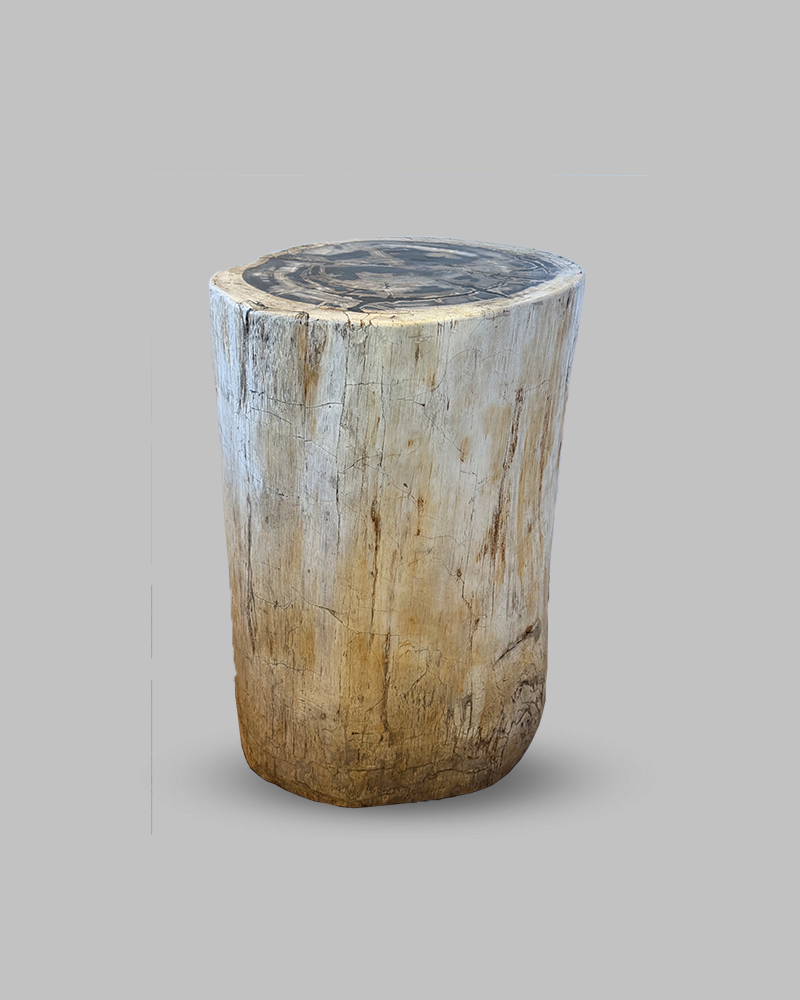 Petrified Stump 64