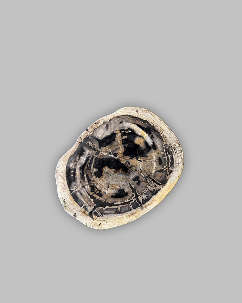 Petrified Stump 64