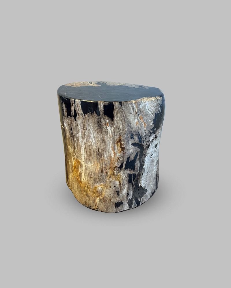 Petrified Stump 65