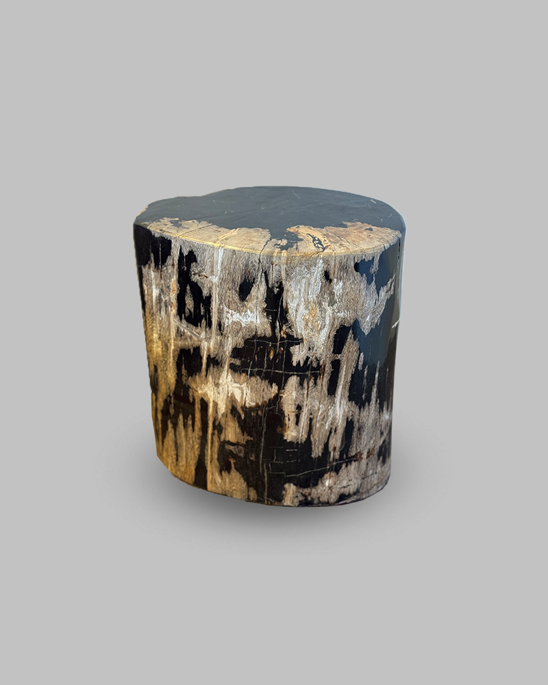 Petrified Stump 65