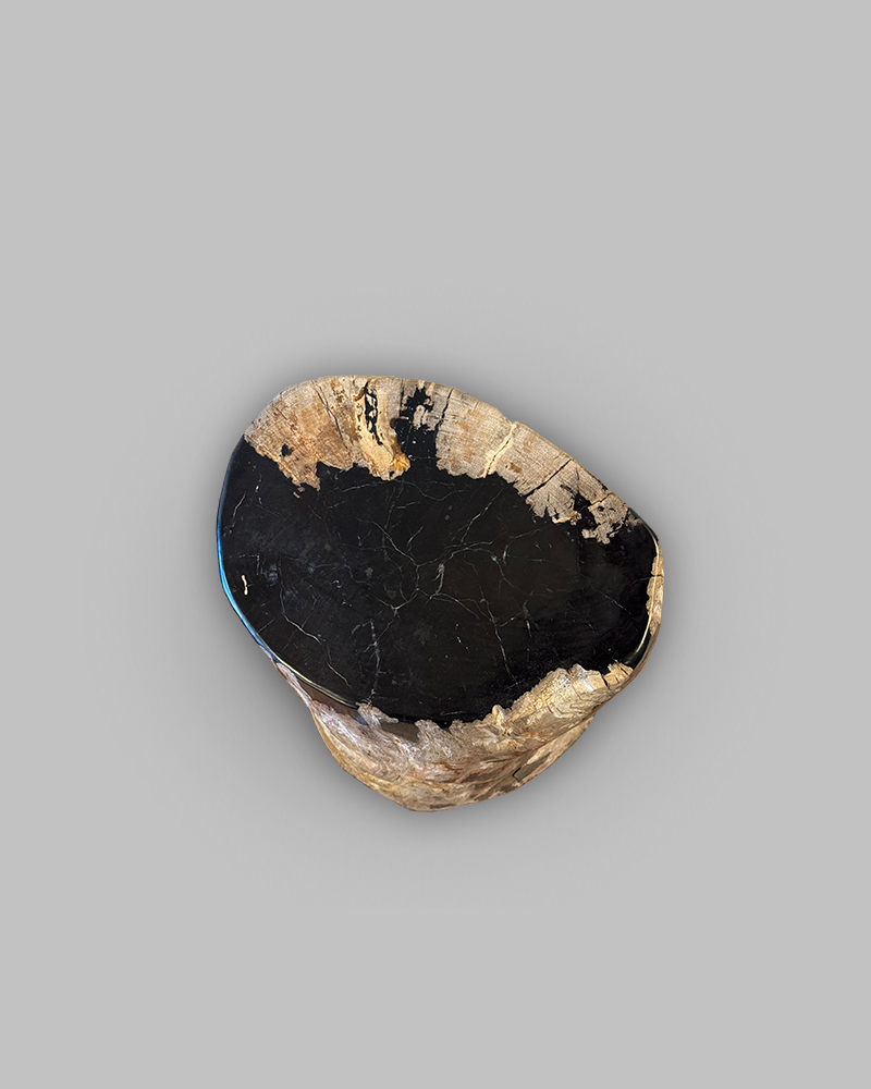 Petrified Stump 65