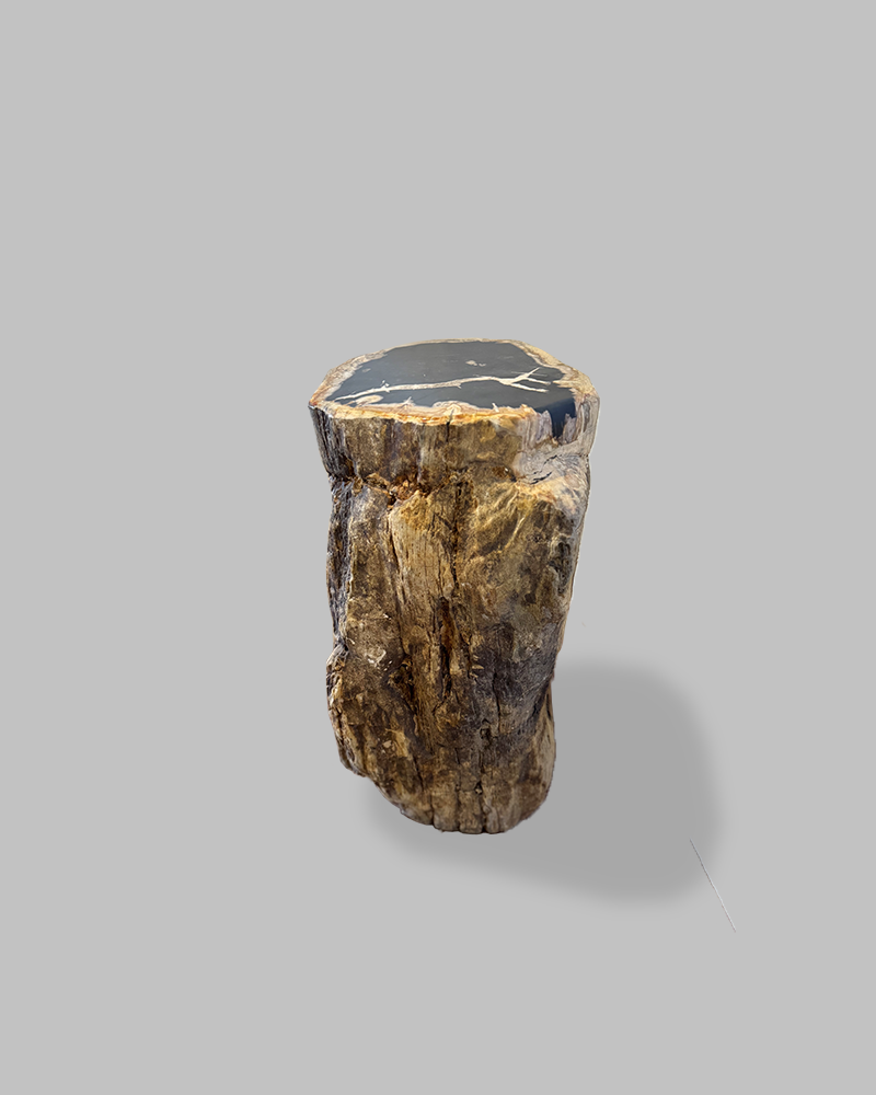 Petrified Stump 66