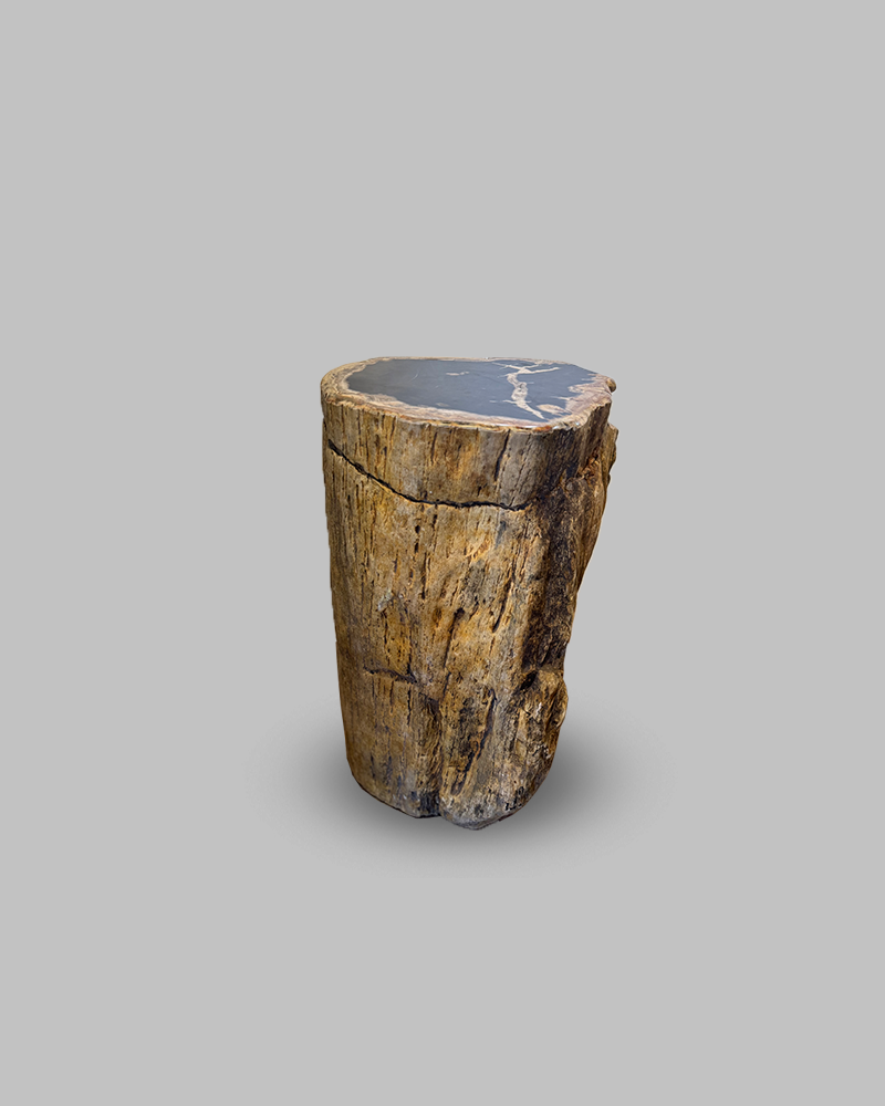 Petrified Stump 66