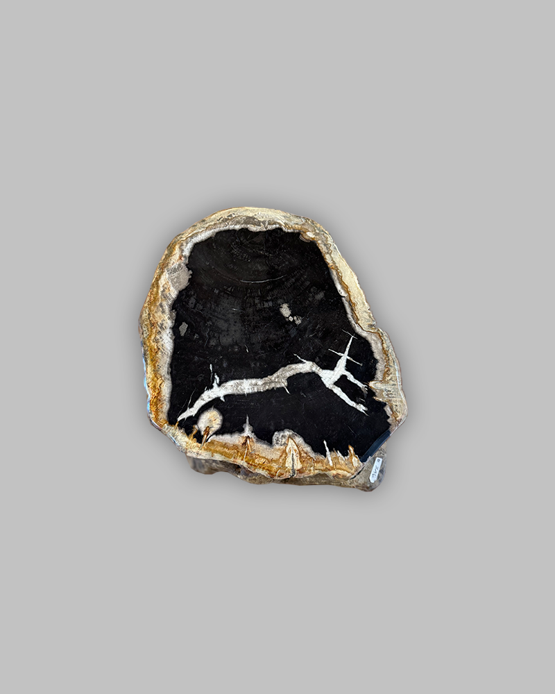 Petrified Stump 66