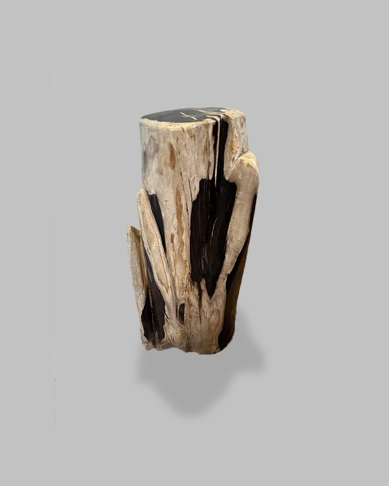 Petrified Stump 67