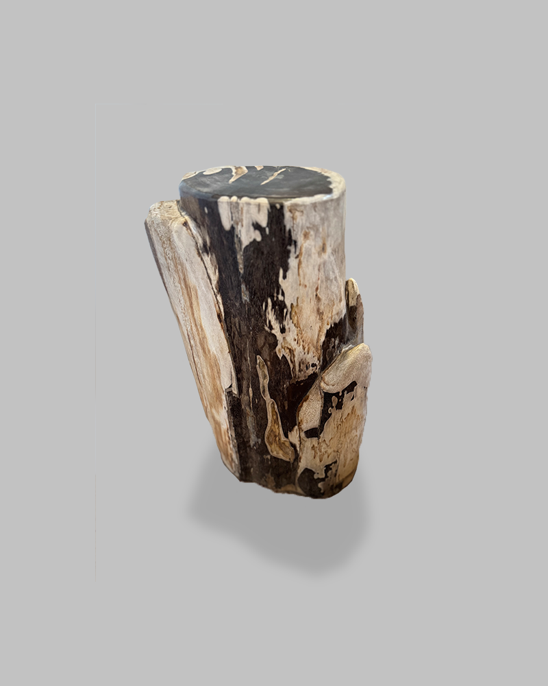 Petrified Stump 67