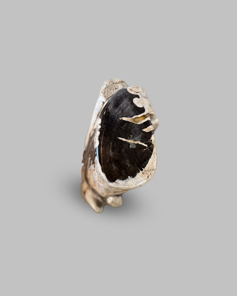 Petrified Stump 67