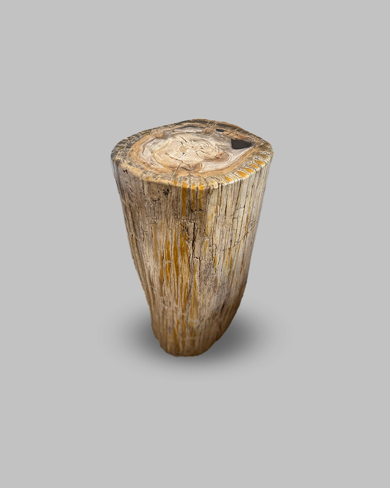 Petrified Stump 68