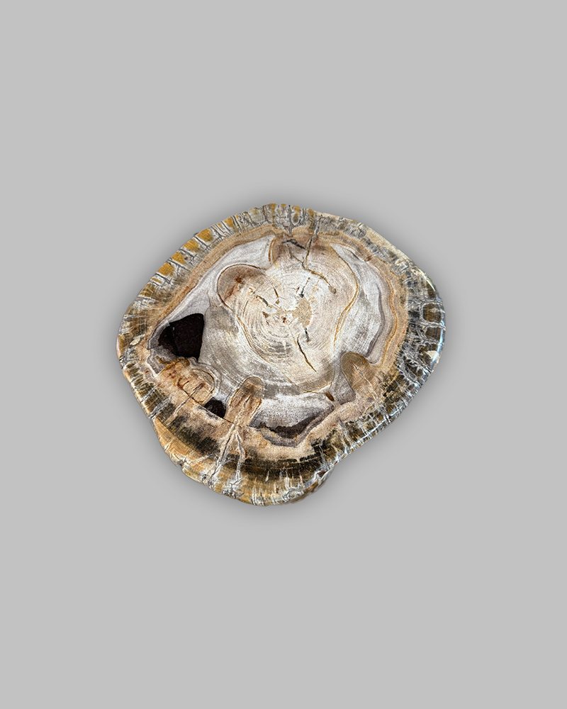 Petrified Stump 68